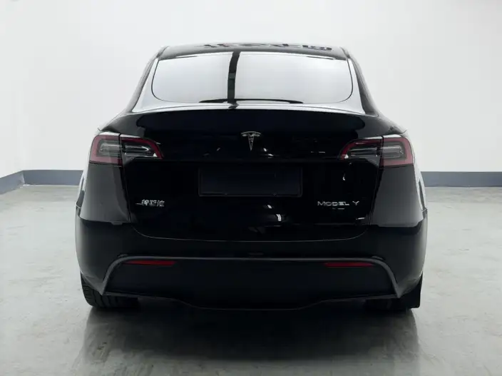 Model Y 2022 Model Facelift Rear-wheel drive version – фото 6