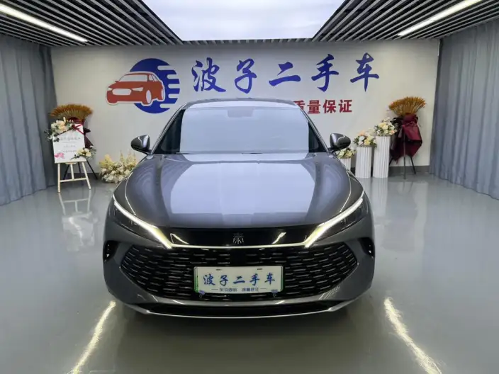 QinL DM 2024 Model DM-i 80KM Leading Model