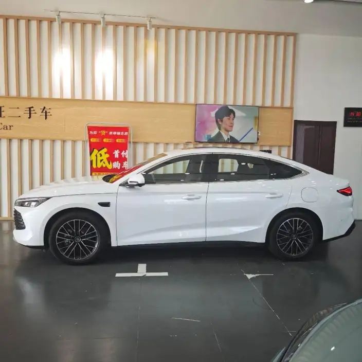 QinL DM 2025 Model Smart Driving Edition DM-i 120KM Leading Model