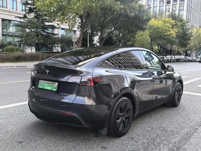 Model Y 2024 Model Rear-wheel drive version – фото 7