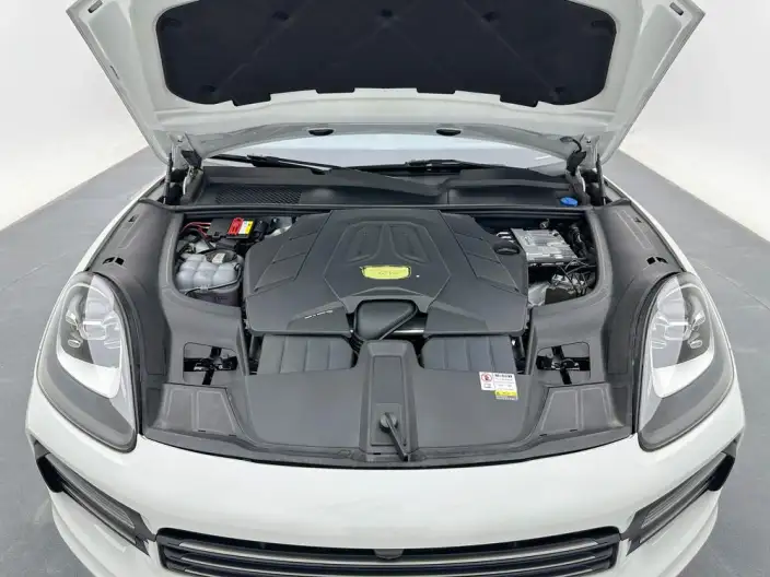 Cayenne 2023 Model Cayenne 3.0T Platinum edition – фото 10