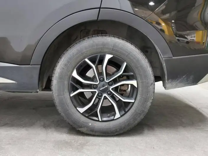 Haval H6 2021 Model Guo Trendy Edition 1.5T Automatic Urban Edition – фото 9