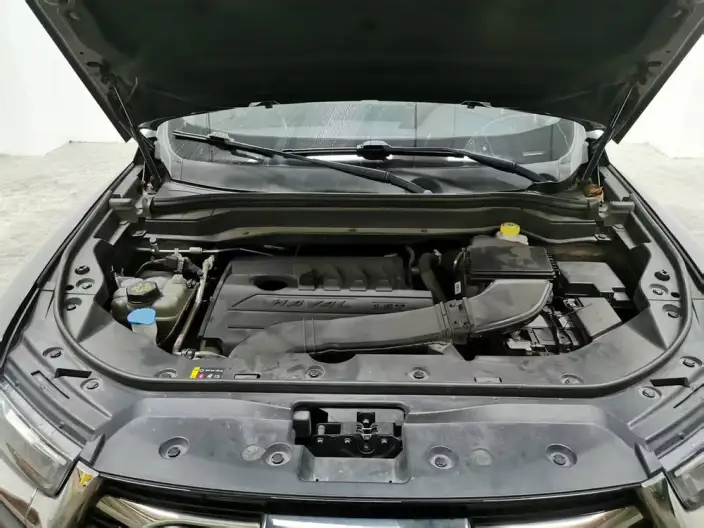 Haval H6 2021 Model Guo Trendy Edition 1.5T Automatic Urban Edition – фото 10