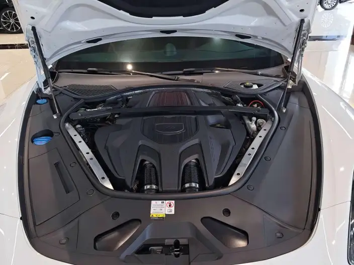 Panamera 2023 Model Panamera Executive Extended Edition 2.9T – фото 6