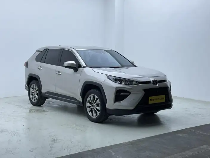 Toyota Wildlander 2024 Model 2.0L 2WD Leading version