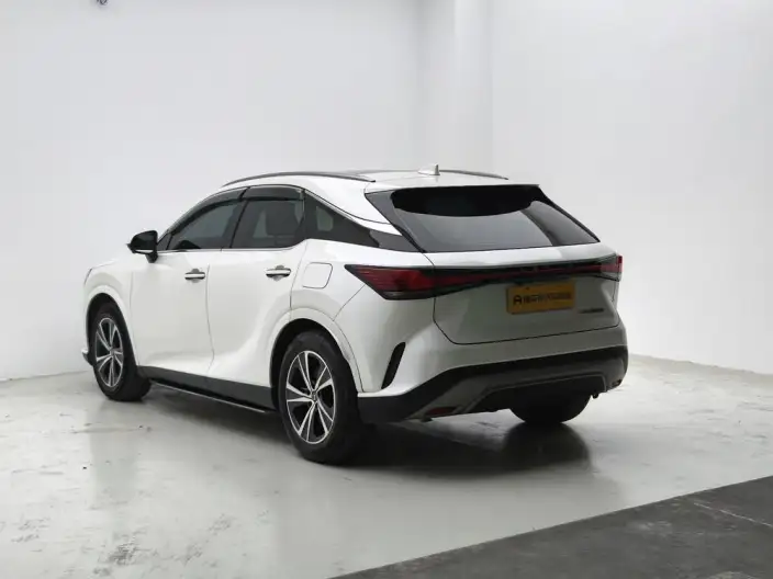 Lexus RX 2023 Model 350h 2WD Comfort Edition – фото 5