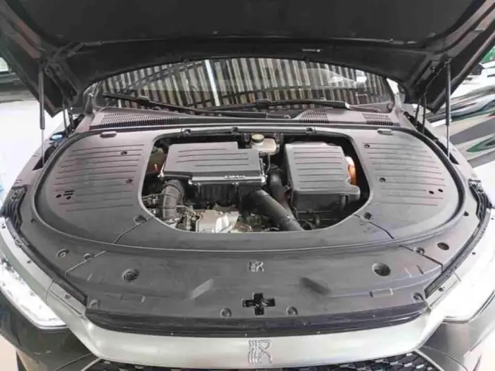 BYD Han DM 2023 Model DM-i Champion Edition 121KM Exclusive Model – фото 4