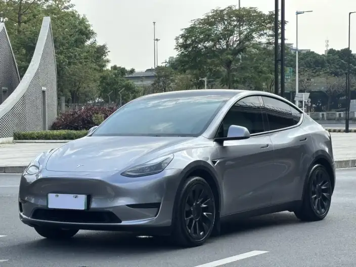 Model Y 2024 Model Rear-wheel drive version – фото 1