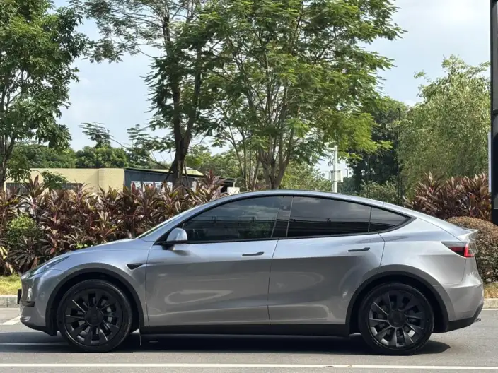 Model Y 2024 Model Rear-wheel drive version – фото 4