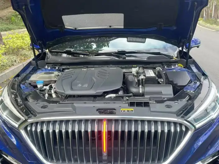 Hongqi H5 Classic 2022 Model 1.8T Automatic Smart Flag Enjoy Edition – фото 5