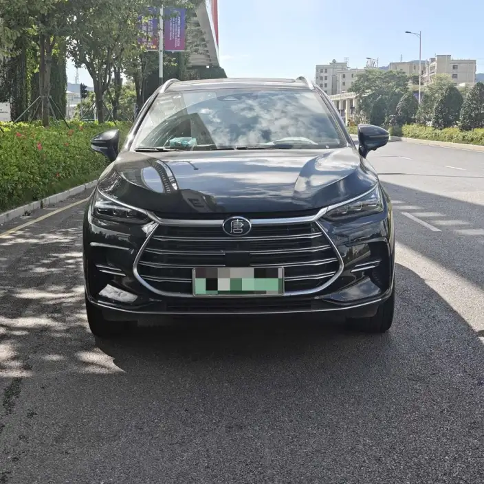 BYD Tang DM 2023 Model DM-i Champion Edition 112KM Exclusive Model – фото 2