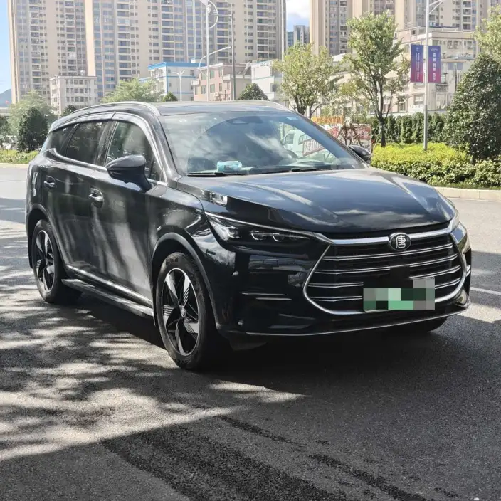 BYD Tang DM 2023 Model DM-i Champion Edition 112KM Exclusive Model – фото 3
