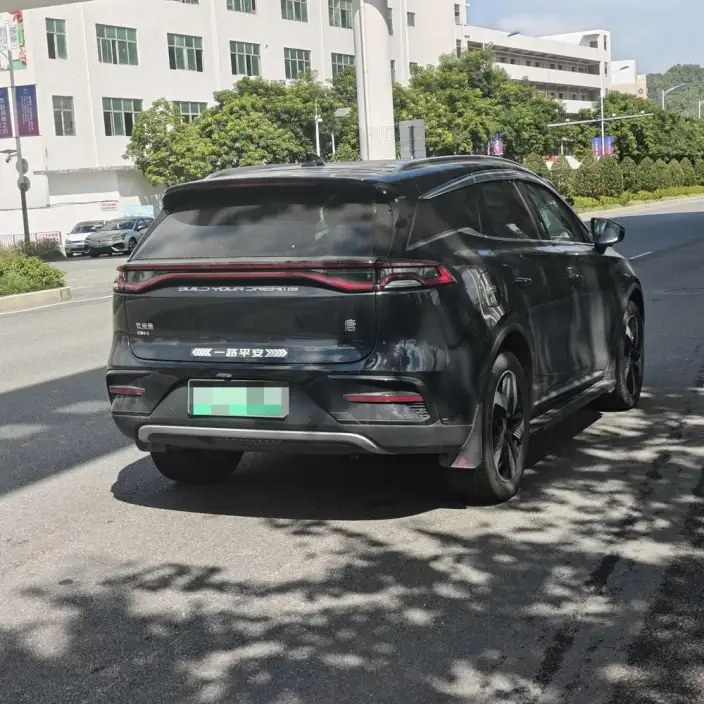 BYD Tang DM 2023 Model DM-i Champion Edition 112KM Exclusive Model – фото 6