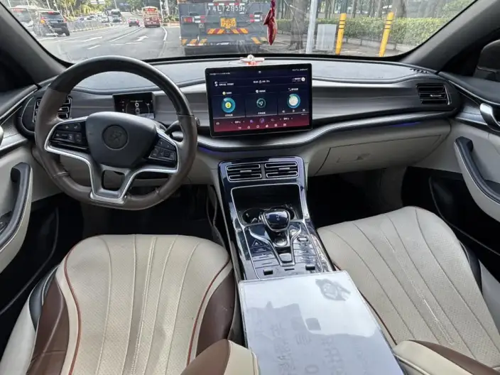 Qin Plus EV 2021 Model 500KM Noble Model – фото 5