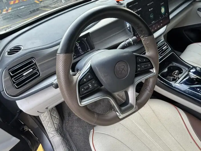 Qin Plus EV 2021 Model 500KM Noble Model – фото 6