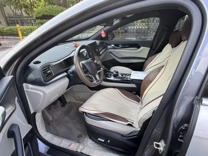 Qin Plus EV 2021 Model 500KM Noble Model – фото 7