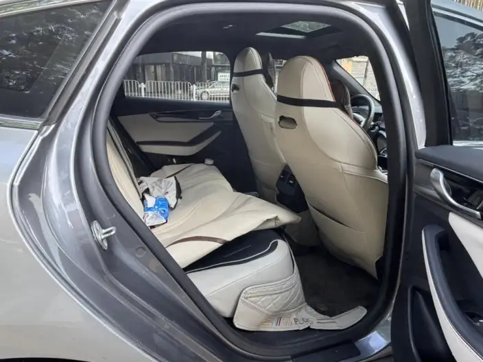 Qin Plus EV 2021 Model 500KM Noble Model – фото 8