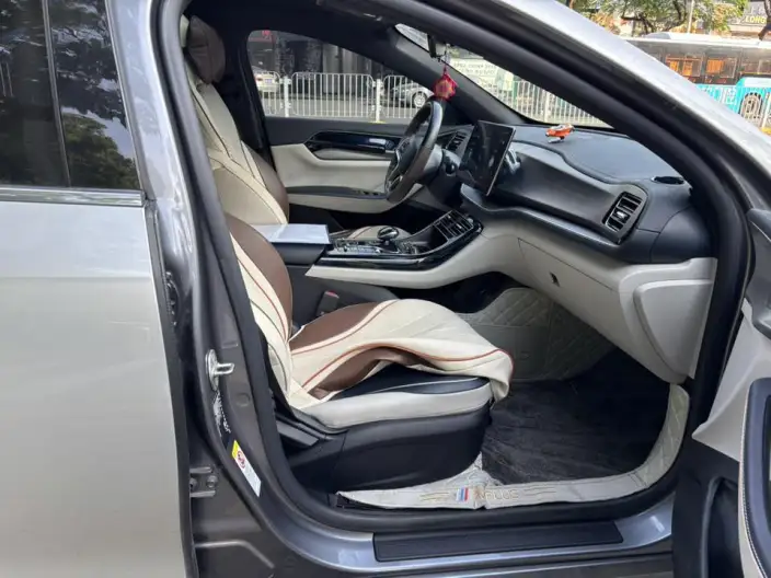 Qin Plus EV 2021 Model 500KM Noble Model – фото 9