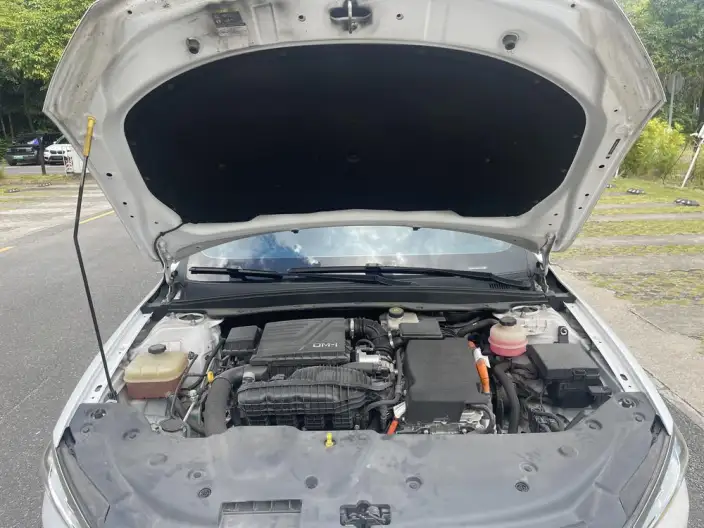 BYD Qin PLUS DM 2021 Model DM-i 120KM Noble Model – фото 8