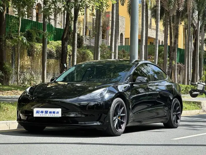 Model 3 2022 Model Rear-wheel drive version – фото 1