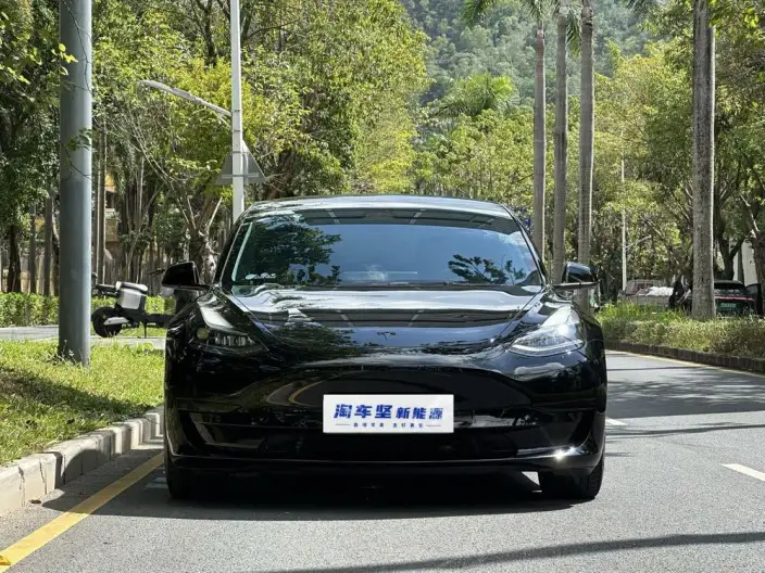 Model 3 2022 Model Rear-wheel drive version – фото 2