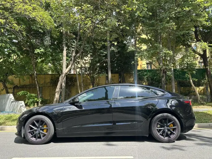 Model 3 2022 Model Rear-wheel drive version – фото 3