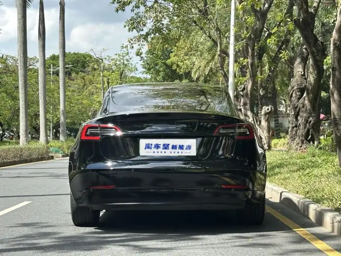 Model 3 2022 Model Rear-wheel drive version – фото 5