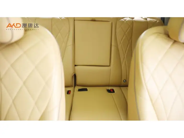 DENZA D9 DM 2022 Model 970 4WD Flagship Model – фото 5