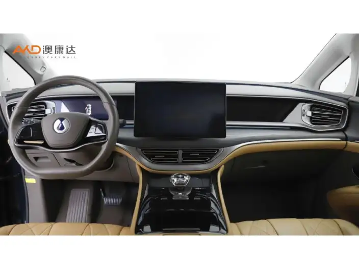 DENZA D9 DM 2022 Model 970 4WD Flagship Model – фото 6