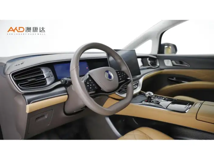 DENZA D9 DM 2022 Model 970 4WD Flagship Model – фото 7