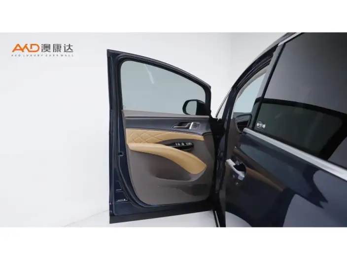 DENZA D9 DM 2022 Model 970 4WD Flagship Model – фото 9