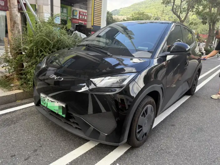 BYD Seagull 2025 Model 305KM Vitality Edition – фото 1