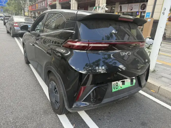 BYD Seagull 2025 Model 305KM Vitality Edition – фото 2