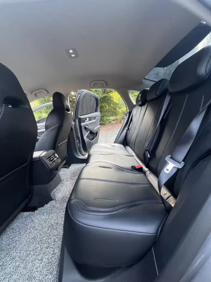 Qin Plus EV 2021 Model 400KM Luxury Model – фото 10