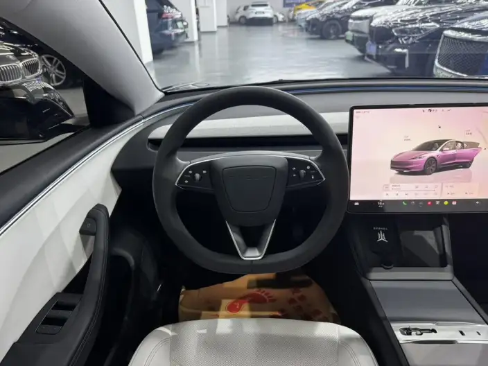 Model 3 2023 Model Rear-wheel drive version – фото 7