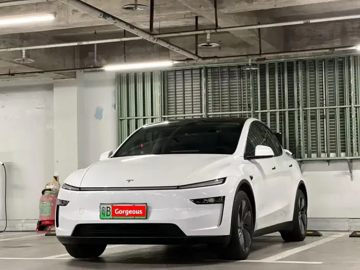 Model Y 2025 Model Rear-wheel drive version – фото 1