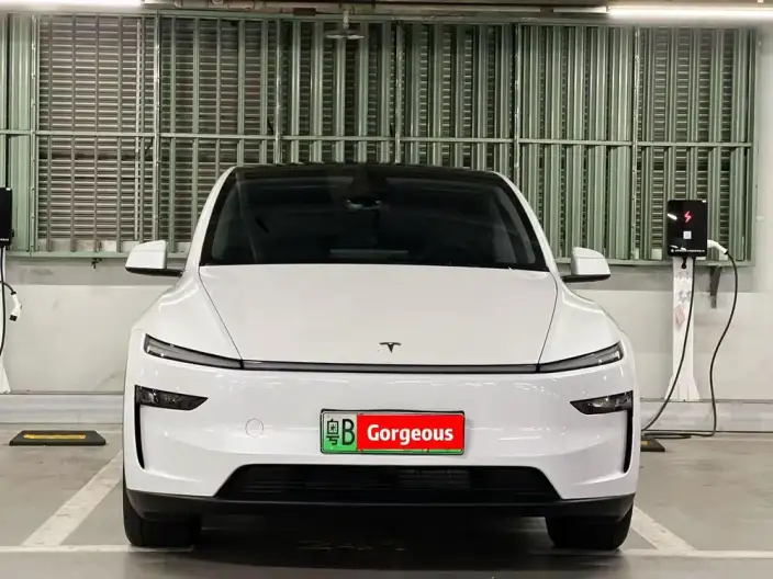 Model Y 2025 Model Rear-wheel drive version – фото 2