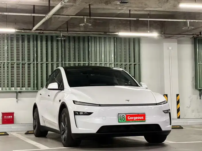 Model Y 2025 Model Rear-wheel drive version – фото 3