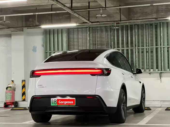 Model Y 2025 Model Rear-wheel drive version – фото 4