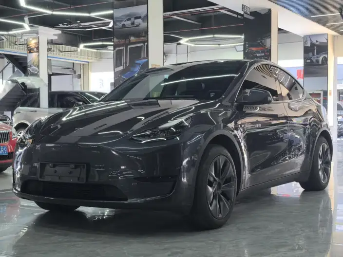 Model Y 2024 Model Rear-wheel drive version – фото 1