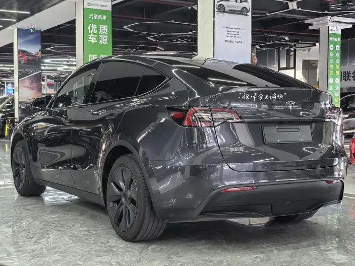 Model Y 2024 Model Rear-wheel drive version – фото 5