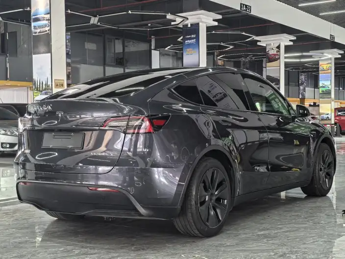 Model Y 2024 Model Rear-wheel drive version – фото 7