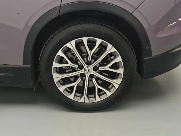 NIO EC6 2024 Model 75kWh – фото 9