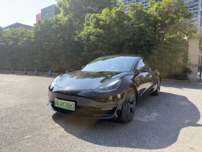 Model 3 2022 Model Rear-wheel drive version – фото 1