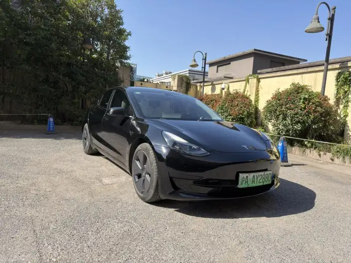 Model 3 2022 Model Rear-wheel drive version – фото 3