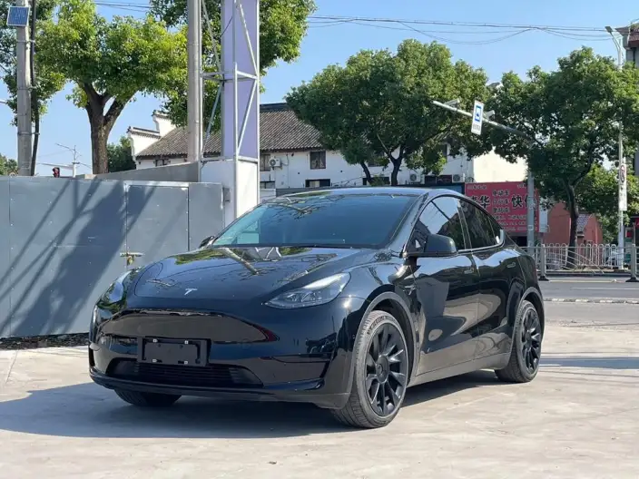 Model Y 2022 Model Rear-wheel drive version – фото 1