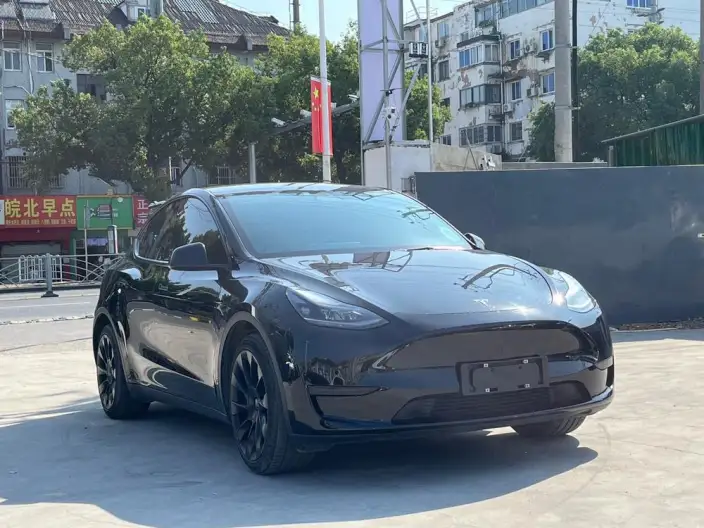 Model Y 2022 Model Rear-wheel drive version – фото 3