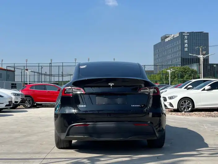 Model Y 2022 Model Rear-wheel drive version – фото 5