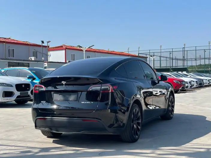 Model Y 2022 Model Rear-wheel drive version – фото 6