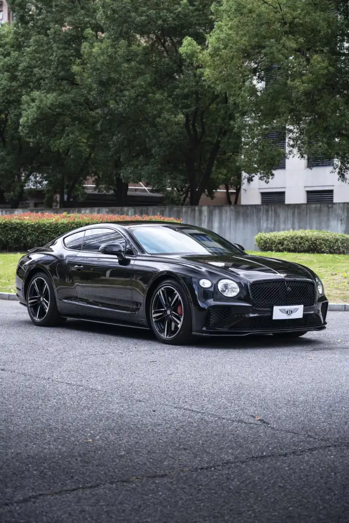 Continental 2022 Model 6.0T GT W12